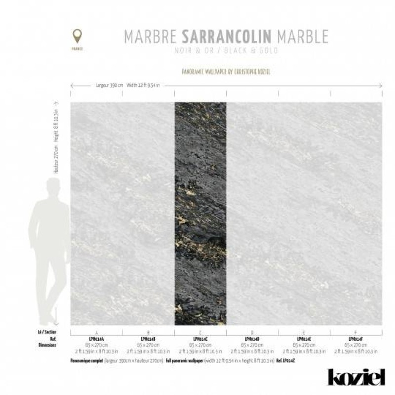 LPM014-X | Black & Gold Sarrancolin marble 