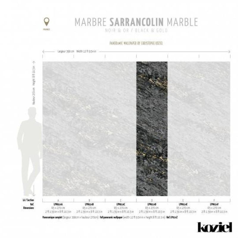 LPM014-X | Black & Gold Sarrancolin marble 