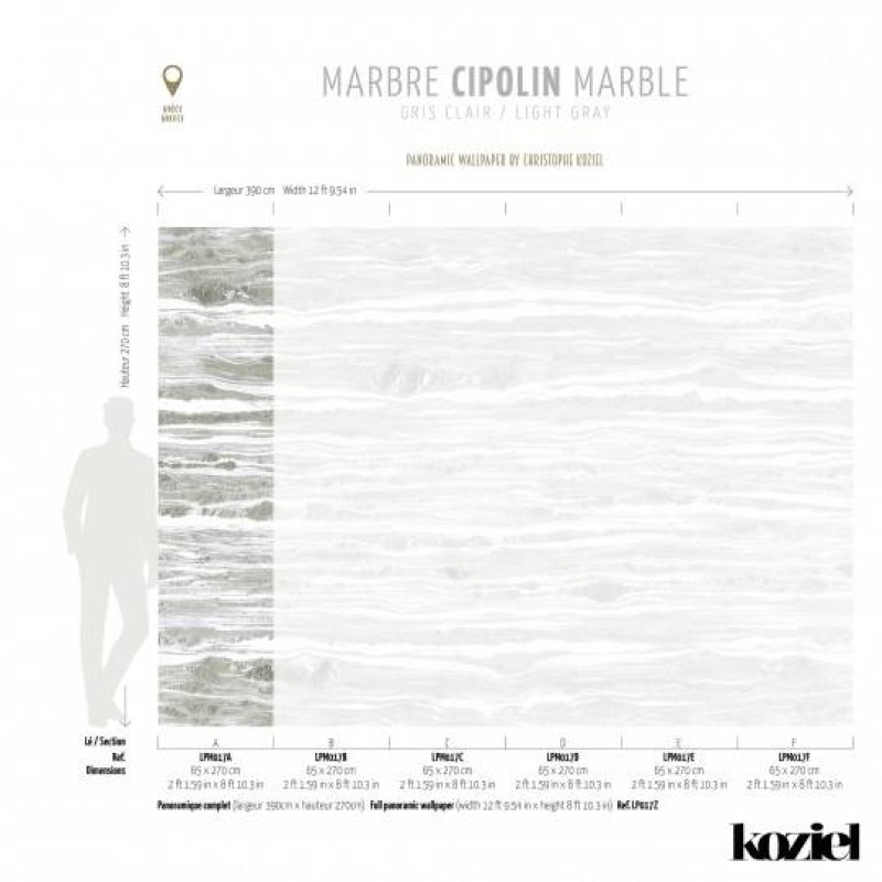 LPM017-X | Light Grey Cipolin marble panoramic wall mural