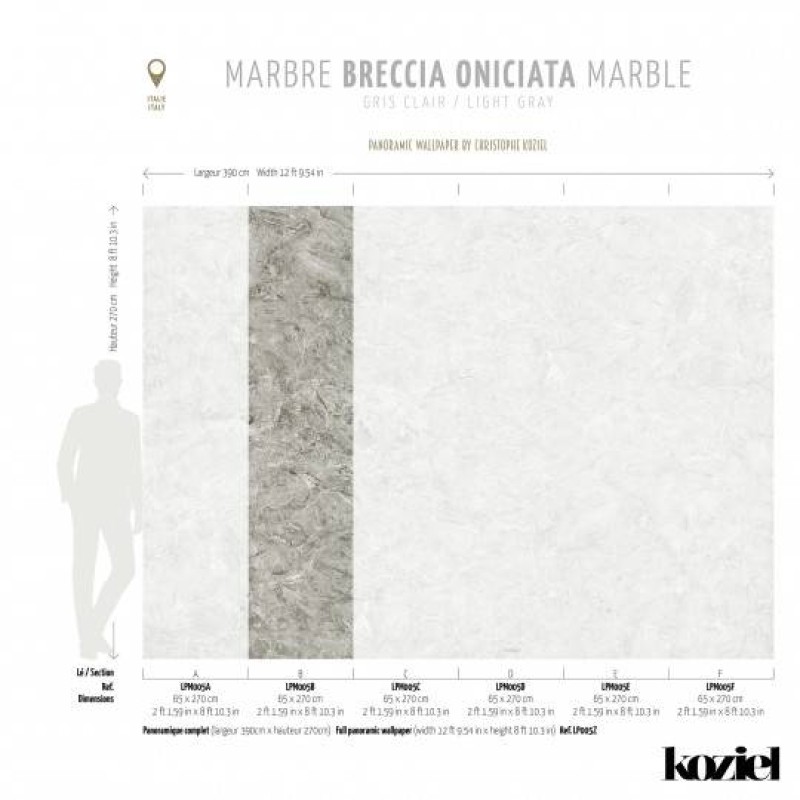 LPM005-X | Light Grey Breccia Oniciata marble