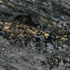 CUST-LPM014 | Black & Gold Sarrancolin marble 