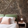 CUST-LPM018 | Brown Emperador marble panoramic wall mural