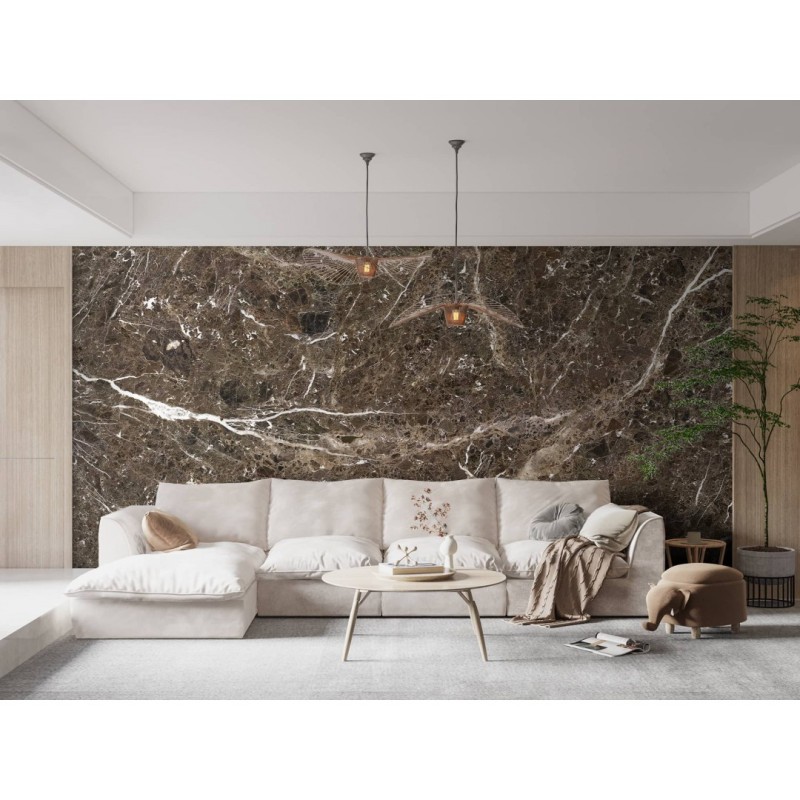 CUST-LPM018 | Brown Emperador marble panoramic wall mural