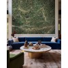 CUST-LPM023 | Green Emperador marble panoramic wall mural