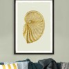 MINDTHEGAP | GOLDEN SEASHELL Framed Art