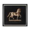 MINDTHEGAP | CAVALO BY MARCHETTI Framed Art 