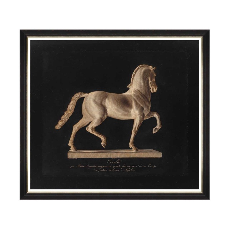 MINDTHEGAP | CAVALO BY MARCHETTI Framed Art 