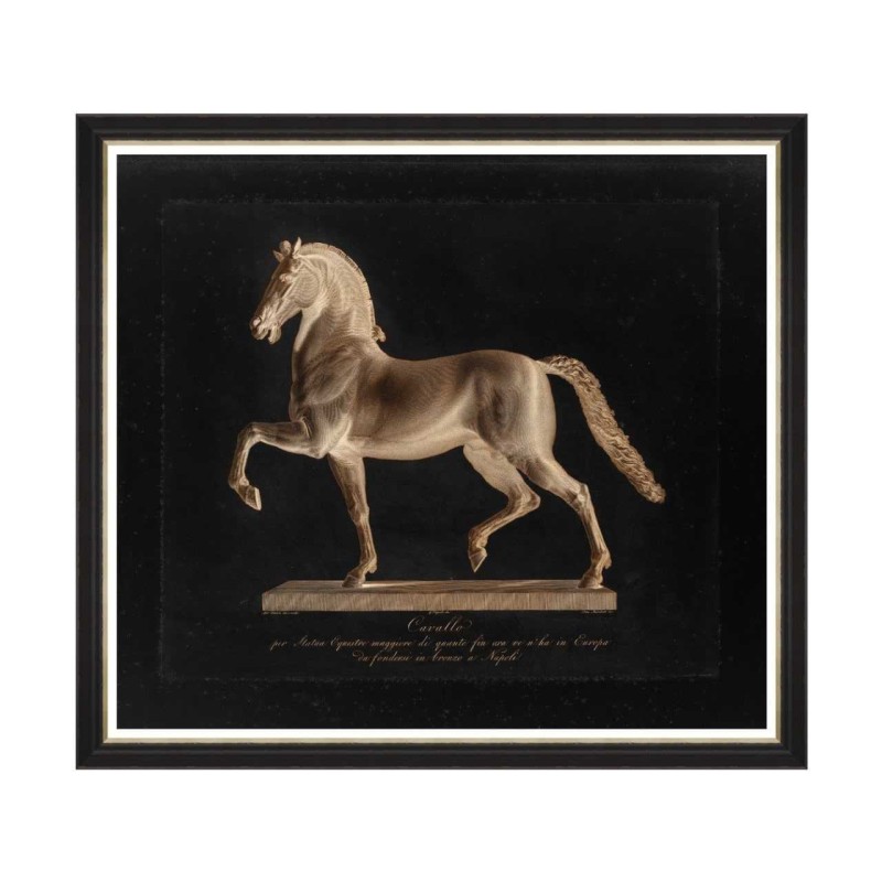 MINDTHEGAP | CAVALO BY MARCHETTI Framed Art 