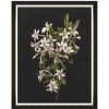 MINDTHEGAP | DELICATE BLOOM Framed Art