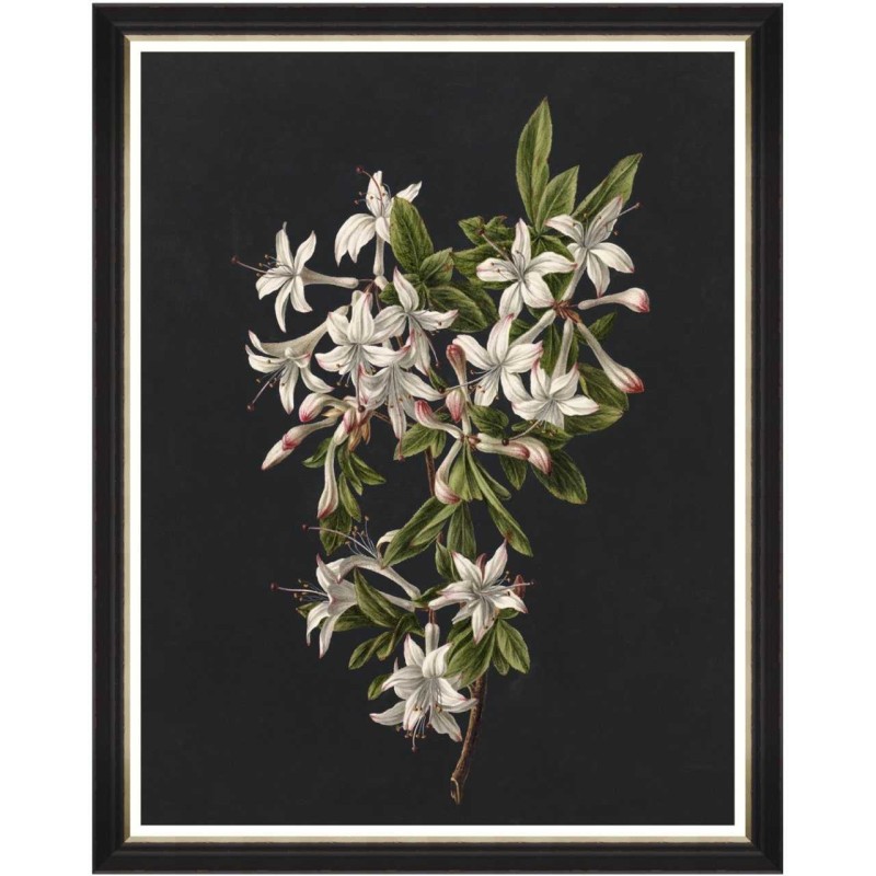 MINDTHEGAP | DELICATE BLOOM Framed Art