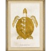 MINDTHEGAP | CARIBBEAN SEA LIFE Framed Art