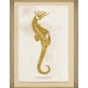 MINDTHEGAP | CARIBBEAN SEA LIFE Framed Art