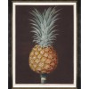 MINDTHEGAP | PINEAPPLES OF ANTIGUA Framed Art