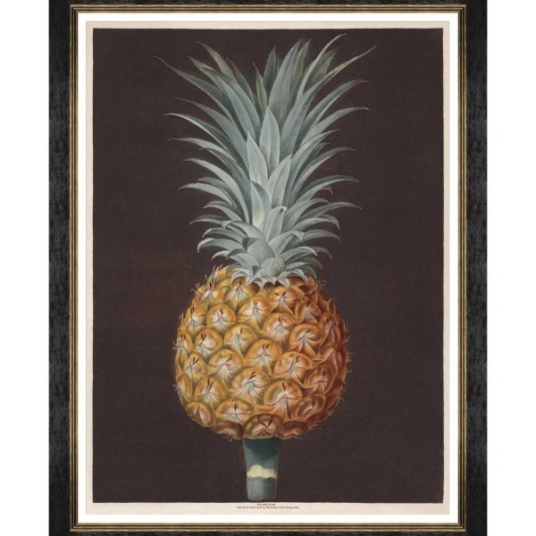 MINDTHEGAP | PINEAPPLES OF ANTIGUA Framed Art