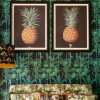 MINDTHEGAP | PINEAPPLES OF ANTIGUA Framed Art