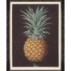 MINDTHEGAP | PINEAPPLES OF ANTIGUA Framed Art