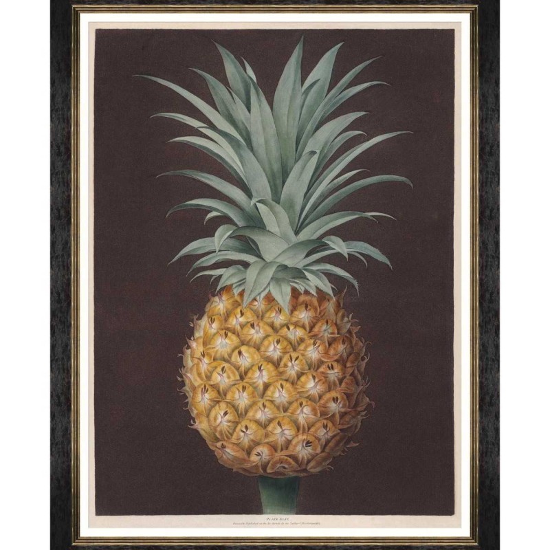 MINDTHEGAP | PINEAPPLES OF ANTIGUA Framed Art