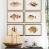 MINDTHEGAP | FISHES OF HAWAII Framed Art