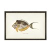 MINDTHEGAP | FISHES OF HAWAII Framed Art