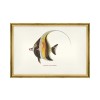 MINDTHEGAP | FISHES OF HAWAII Framed Art