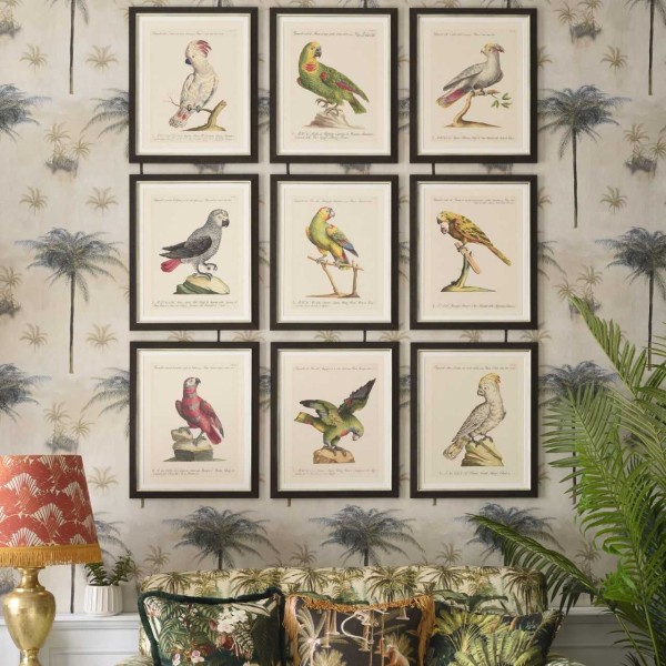 MINDTHEGAP | PARROTS OF BRAZIL Framed Art