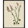 MINDTHEGAP | BOTANICAL Framed Art