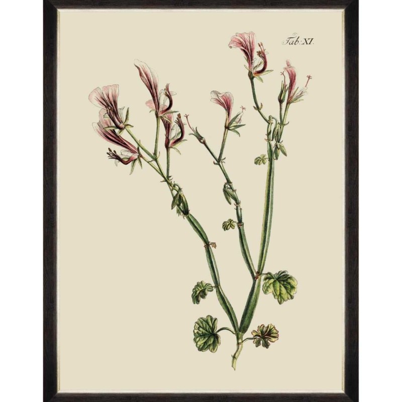 MINDTHEGAP | BOTANICAL Framed Art