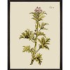 MINDTHEGAP | BOTANICAL Framed Art