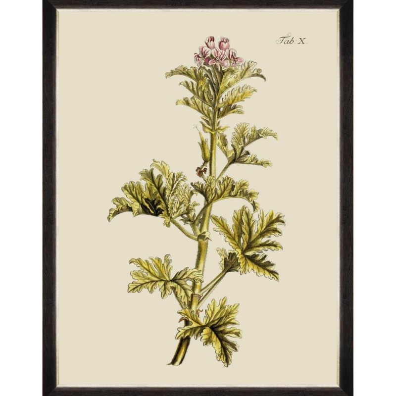 MINDTHEGAP | BOTANICAL Framed Art