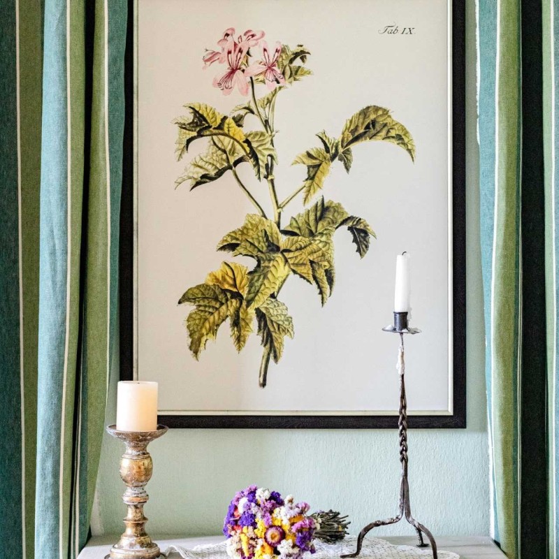 MINDTHEGAP | BOTANICAL Framed Art