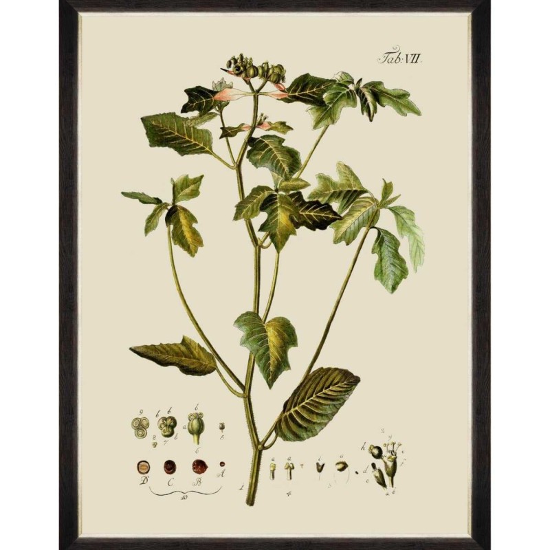 MINDTHEGAP | BOTANICAL Framed Art