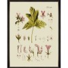 MINDTHEGAP | BOTANICAL Framed Art