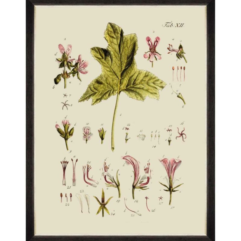 MINDTHEGAP | BOTANICAL Framed Art