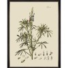 MINDTHEGAP | BOTANICAL Framed Art