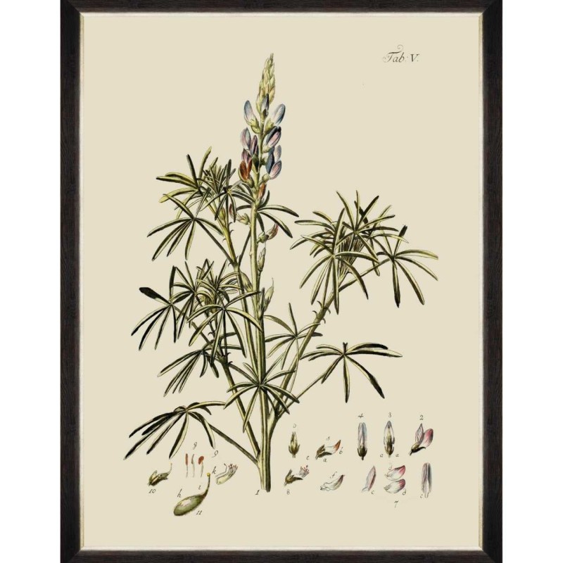 MINDTHEGAP | BOTANICAL Framed Art