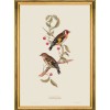 MINDTHEGAP | BIRDS Framed Art