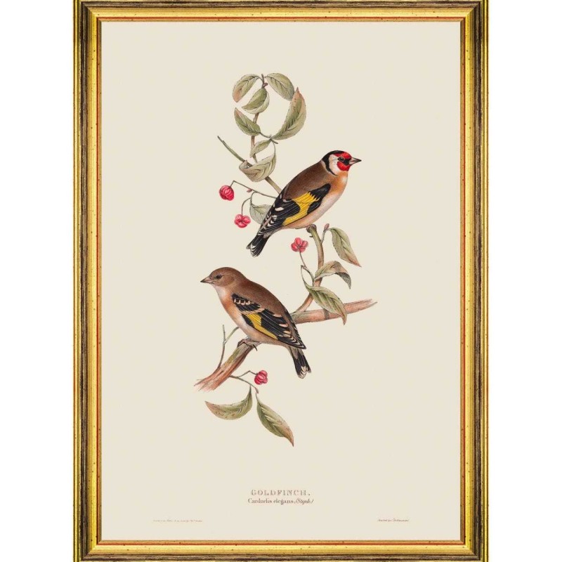 MINDTHEGAP | BIRDS Framed Art