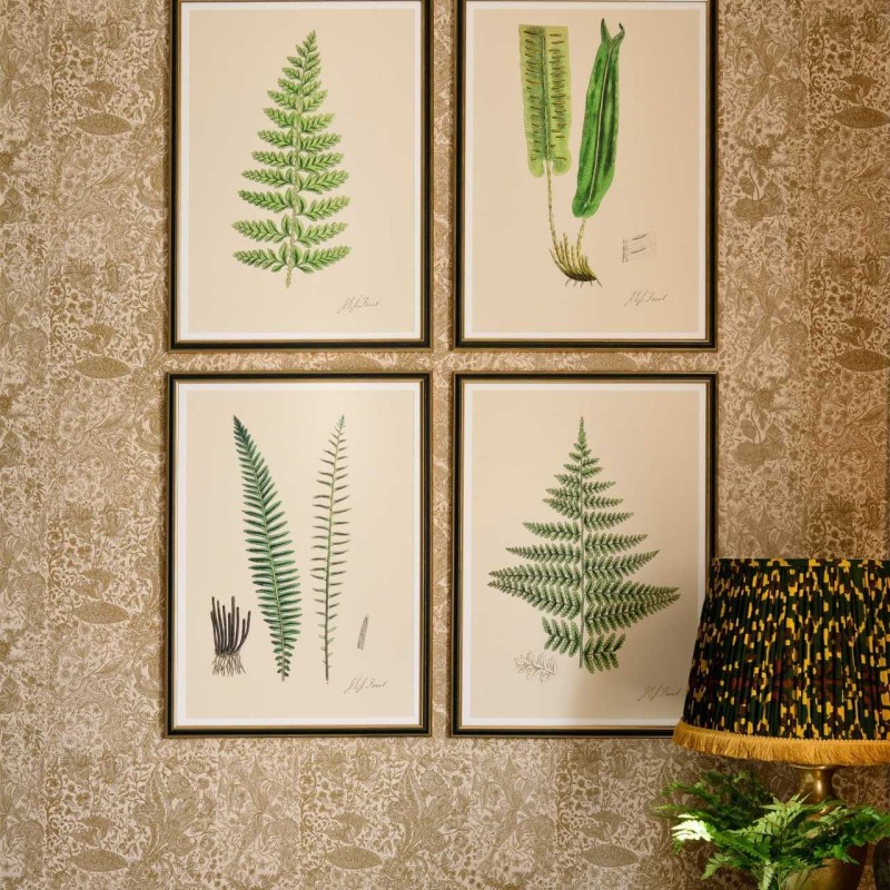 MINDTHEGAP | FERNS Framed Art