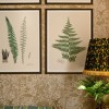 MINDTHEGAP | FERNS Framed Art