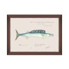 MINDTHEGAP | MEDITERRANEAN FISH Framed Art by F Clark