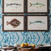 MINDTHEGAP | MEDITERRANEAN FISH Framed Art by F Clark