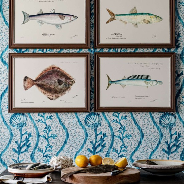 MINDTHEGAP | MEDITERRANEAN FISH Framed Art by F Clark