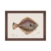 MINDTHEGAP | MEDITERRANEAN FISH Framed Art by F Clark