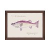 MINDTHEGAP | MEDITERRANEAN FISH Framed Art by F Clark