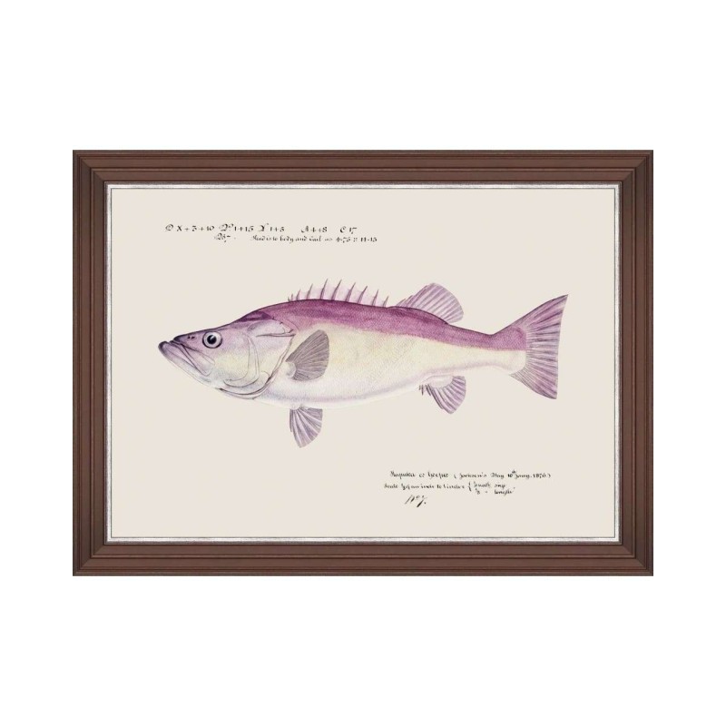 MINDTHEGAP | MEDITERRANEAN FISH Framed Art by F Clark