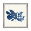 MINDTHEGAP | SEAWEED INDIGO Framed Art