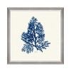 MINDTHEGAP | SEAWEED INDIGO Framed Art