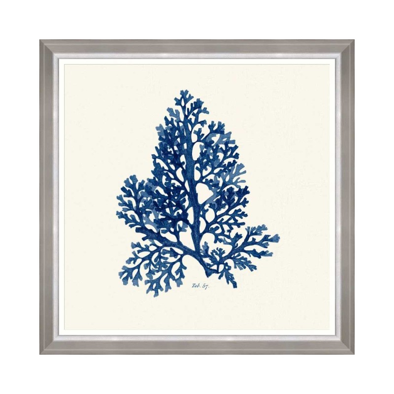 MINDTHEGAP | SEAWEED INDIGO Framed Art