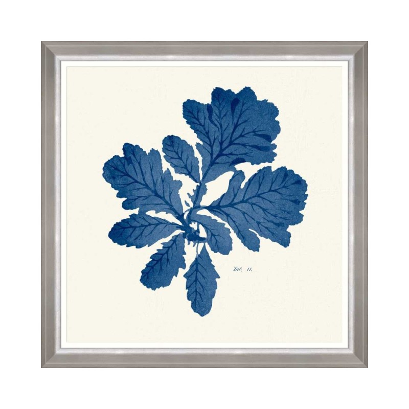 MINDTHEGAP | SEAWEED INDIGO Framed Art