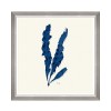 MINDTHEGAP | SEAWEED INDIGO Framed Art